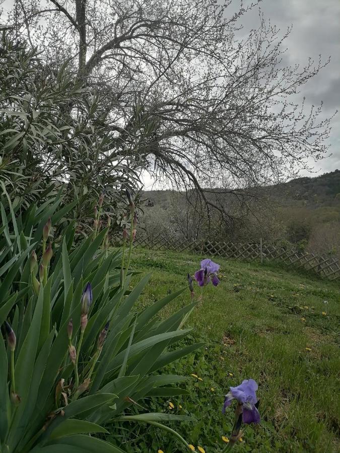 Apartma Suzy Pobegi Exteriér fotografie